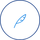 IronNet-Internship-Top Minds@2x