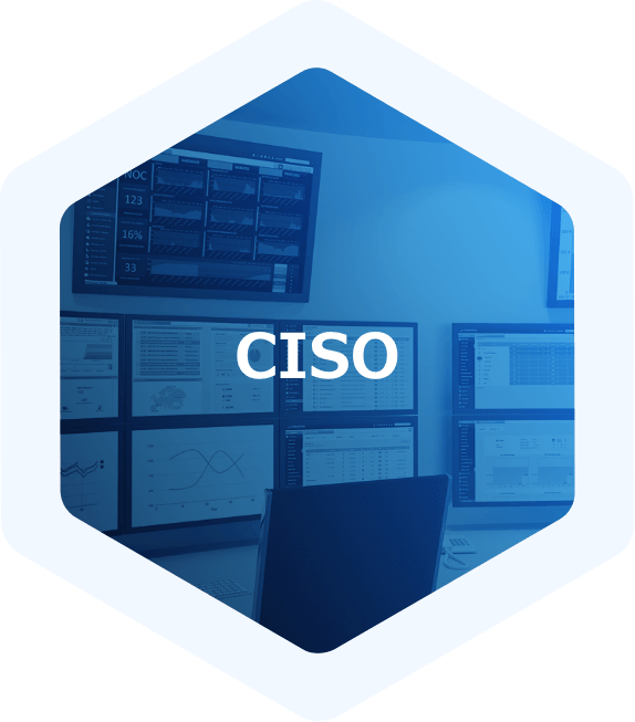 IronNet-Japan-CISO Hexagon-Text@2x